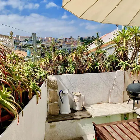 Apartment Sunny In Town With Terrace